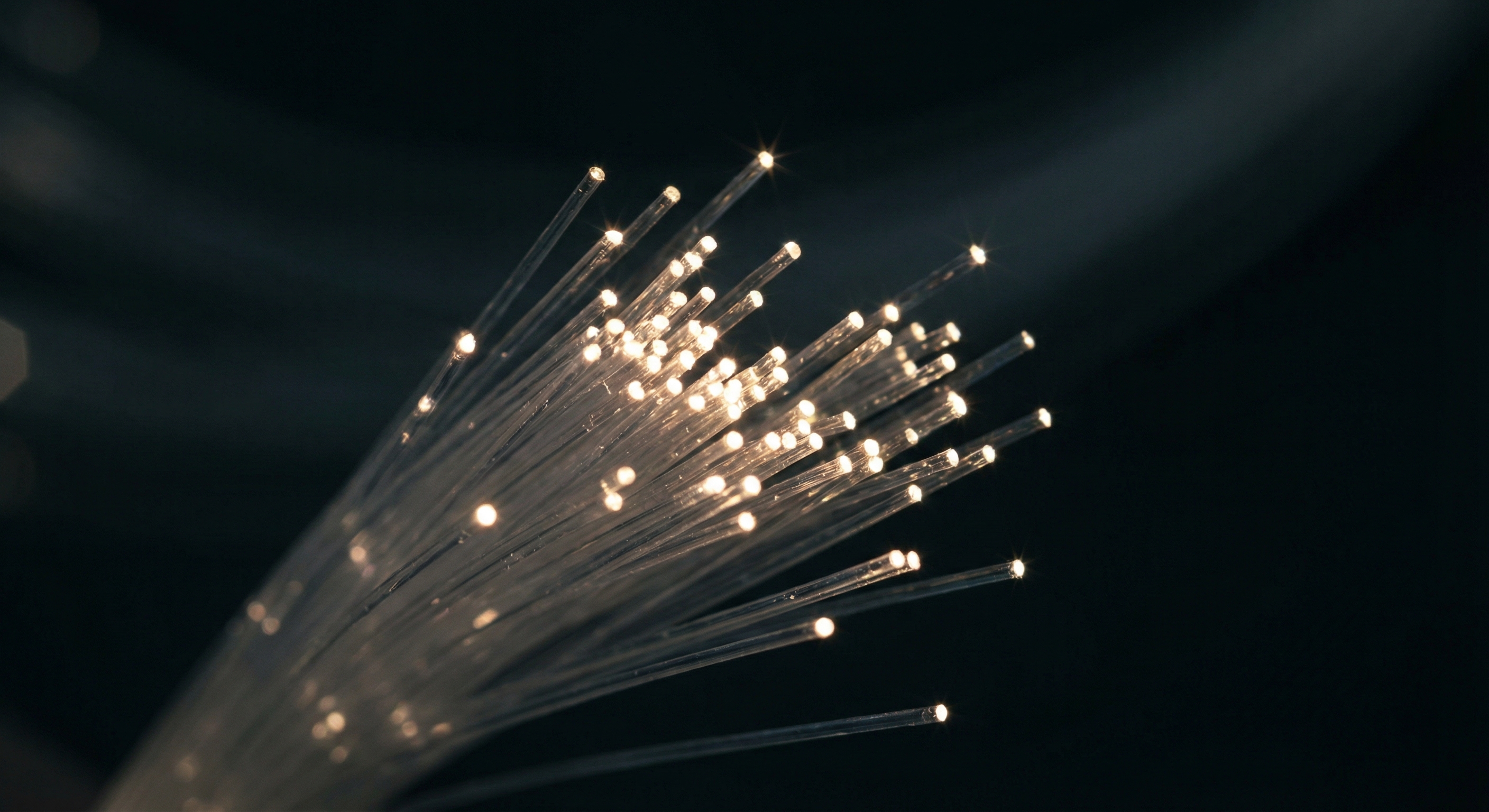 Fiber optic lighting detail showing light points